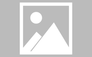 醴陵搭建外贸网站货到付款（外贸付款平台）